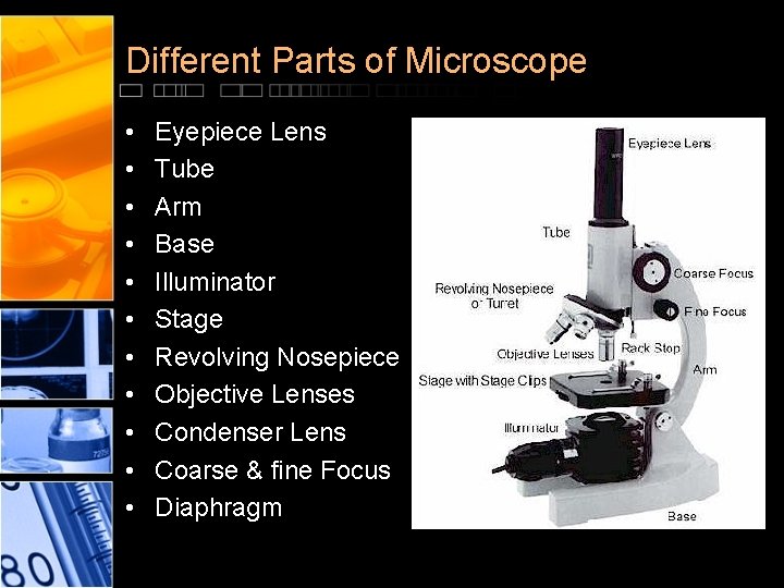 Different Parts of Microscope • • • Eyepiece Lens Tube Arm Base Illuminator Stage