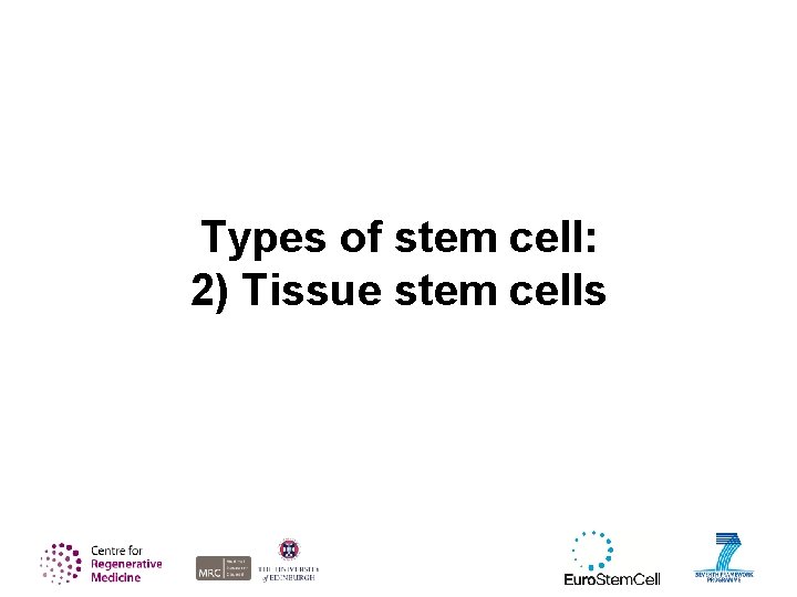 Types of stem cell: 2) Tissue stem cells 