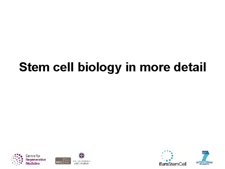 Stem cell biology in more detail 