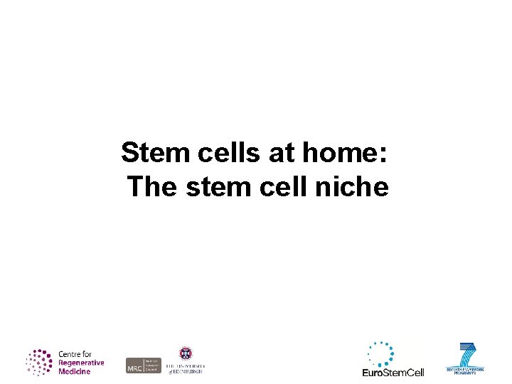 Stem cells at home: The stem cell niche 