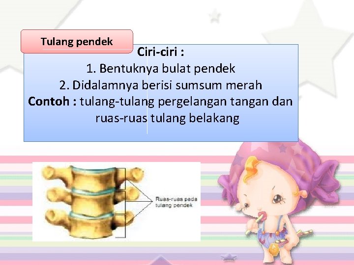 Tulang pendek Ciri-ciri : 1. Bentuknya bulat pendek 2. Didalamnya berisi sumsum merah Contoh