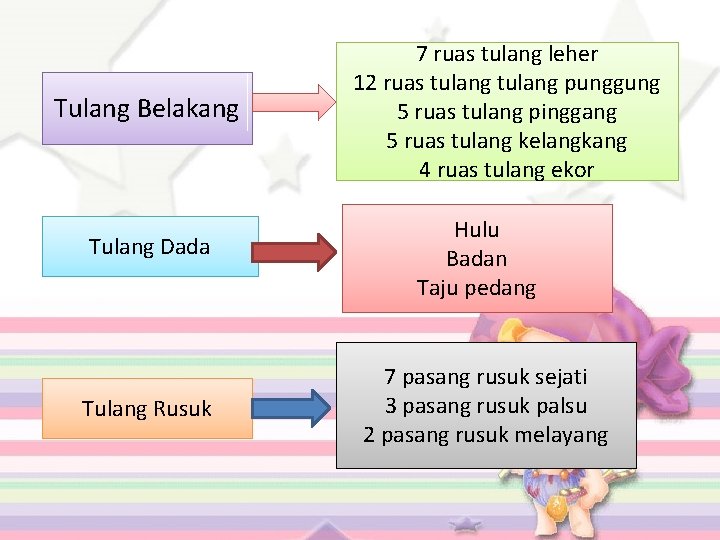 Tulang Belakang Tulang Dada Tulang Rusuk 7 ruas tulang leher 12 ruas tulang punggung