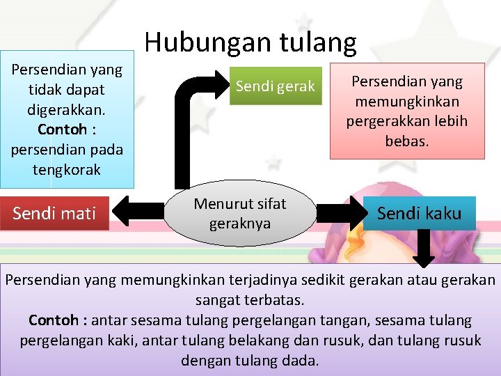 Persendian yang tidak dapat digerakkan. Contoh : persendian pada tengkorak Sendi mati Hubungan tulang