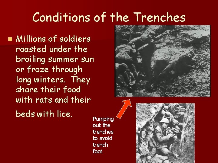 Conditions of the Trenches n Millions of soldiers roasted under the broiling summer sun