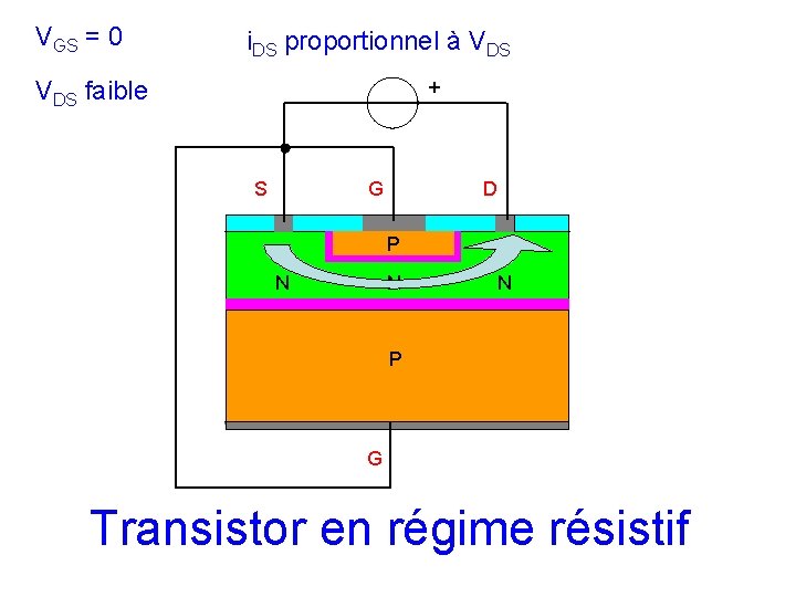 VGS = 0 i. DS proportionnel à VDS faible + S G D P