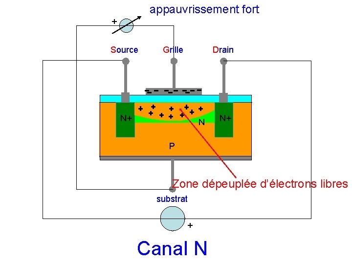 appauvrissement fort + Source Grille Drain N+ N N+ P Zone dépeuplée d’électrons libres