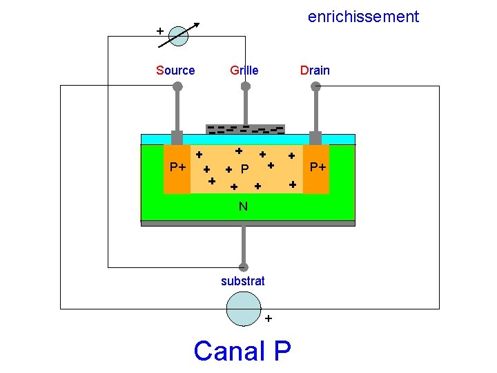 enrichissement + Source Grille Drain P+ P P+ N substrat + Canal P enrichissement + Source Grille Drain P+ P P+ N substrat + Canal P