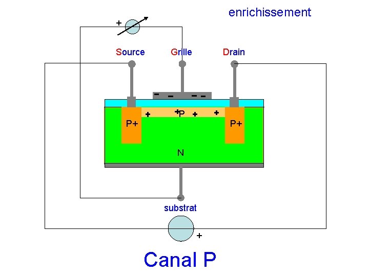 enrichissement + Source P+ Grille Drain P P+ N substrat + Canal P 