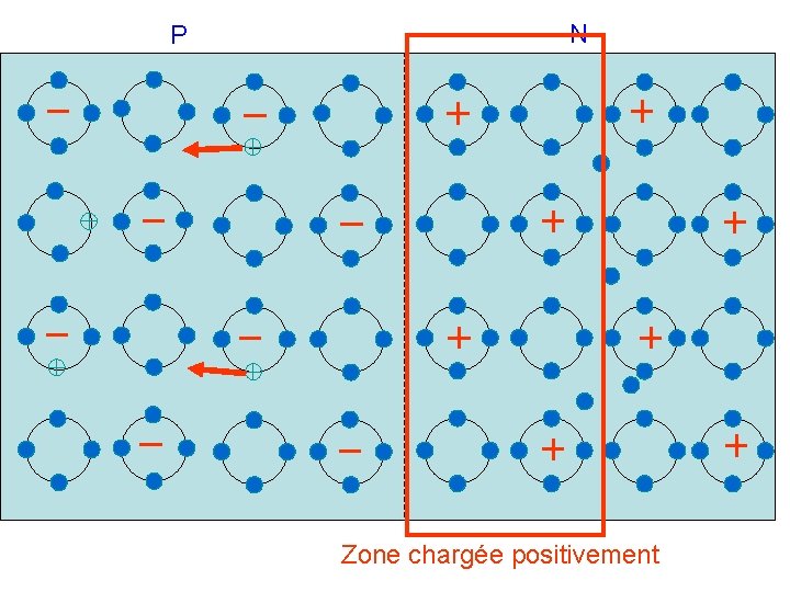 P N Zone chargée positivement 