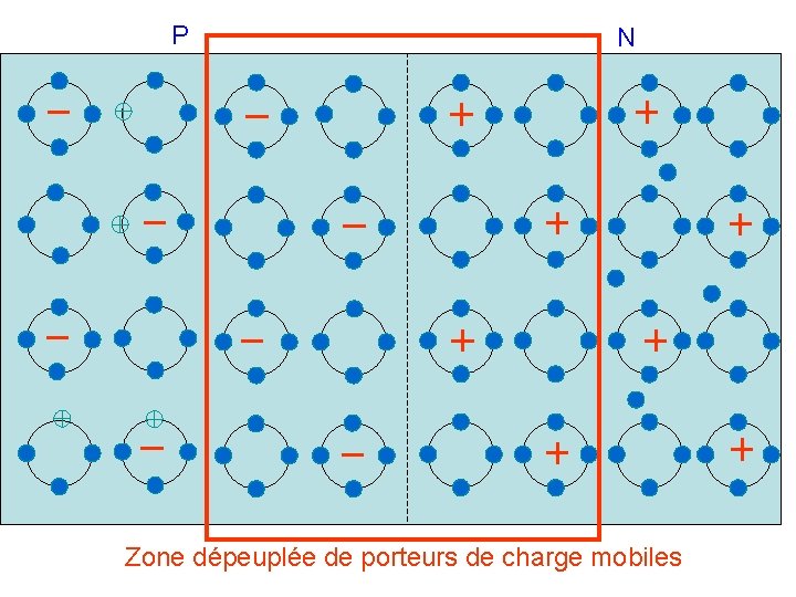 P N Zone dépeuplée de porteurs de charge mobiles 