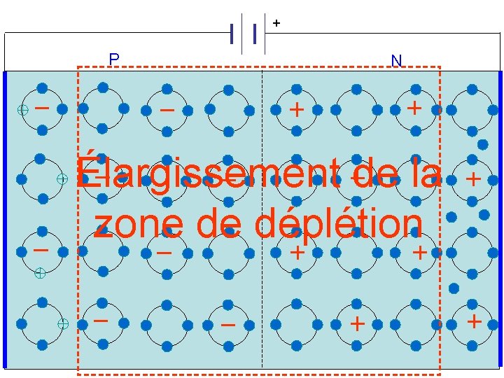 + P N Élargissement de la zone de déplétion 