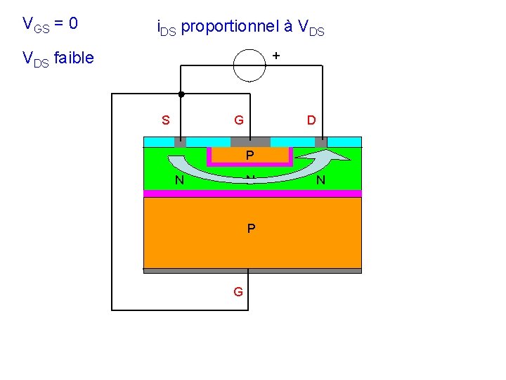 VGS = 0 i. DS proportionnel à VDS faible + S G D P VGS = 0 i. DS proportionnel à VDS faible + S G D P