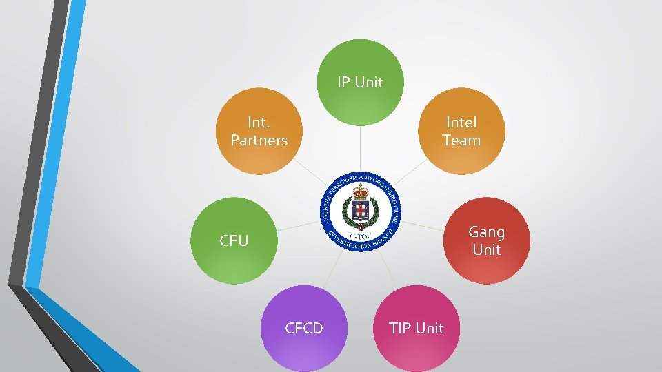 IP Unit Int. Partners Intel Team Gang Unit CFU CFCD TIP Unit 