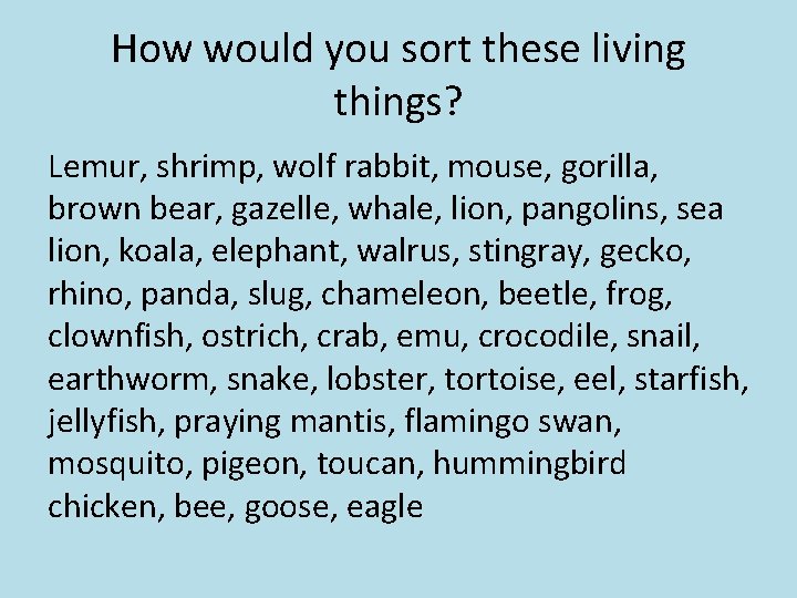 How would you sort these living things? Lemur, shrimp, wolf rabbit, mouse, gorilla, brown
