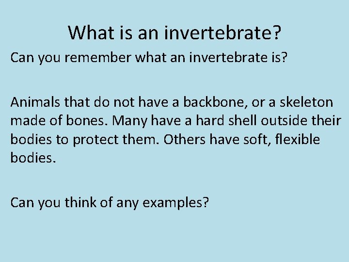 What is an invertebrate? Can you remember what an invertebrate is? Animals that do