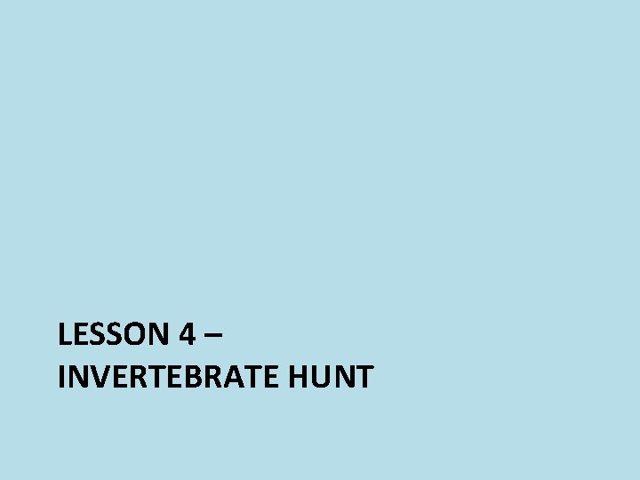 LESSON 4 – INVERTEBRATE HUNT 