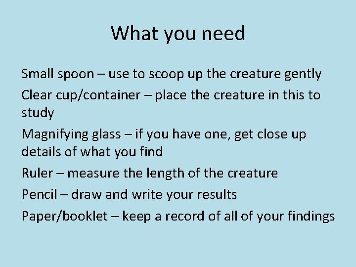 What you need Small spoon – use to scoop up the creature gently Clear