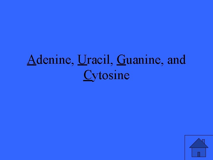 Adenine, Uracil, Guanine, and Cytosine 