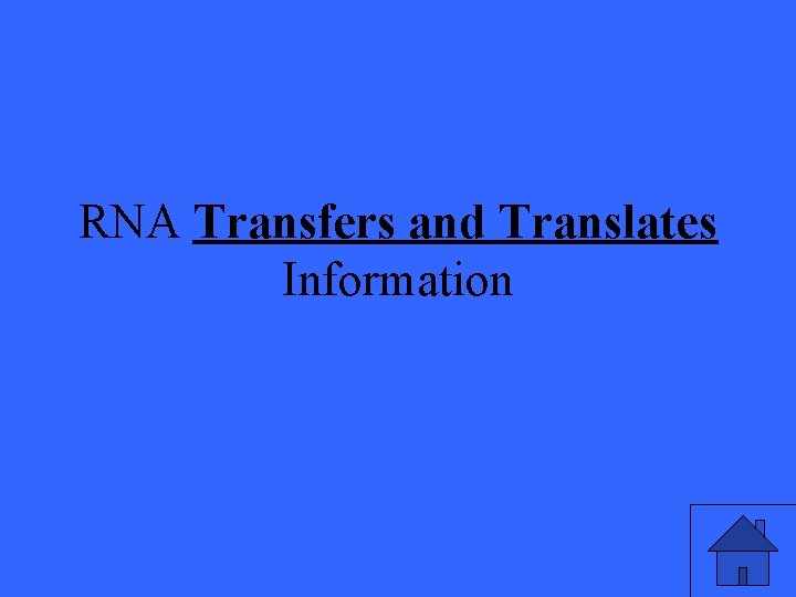 RNA Transfers and Translates Information 