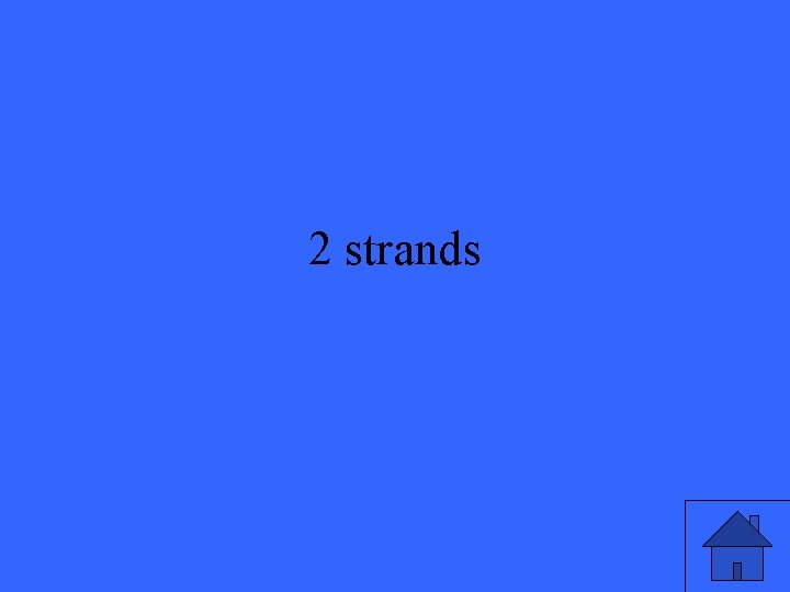 2 strands 
