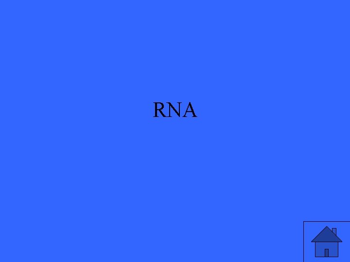 RNA 