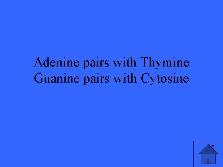 Adenine pairs with Thymine Guanine pairs with Cytosine 