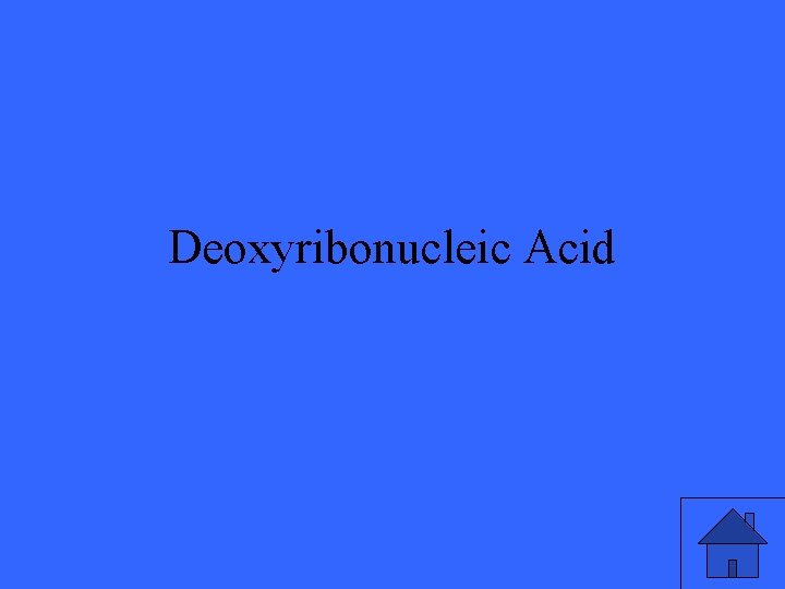 Deoxyribonucleic Acid 