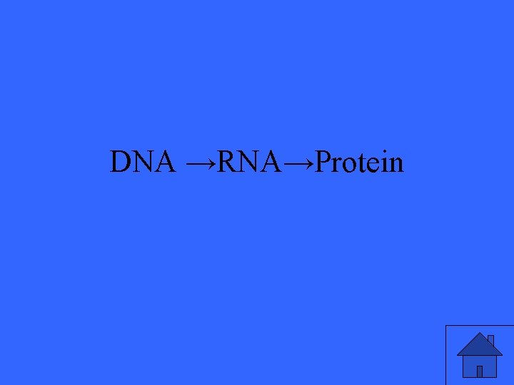 DNA →RNA→Protein 