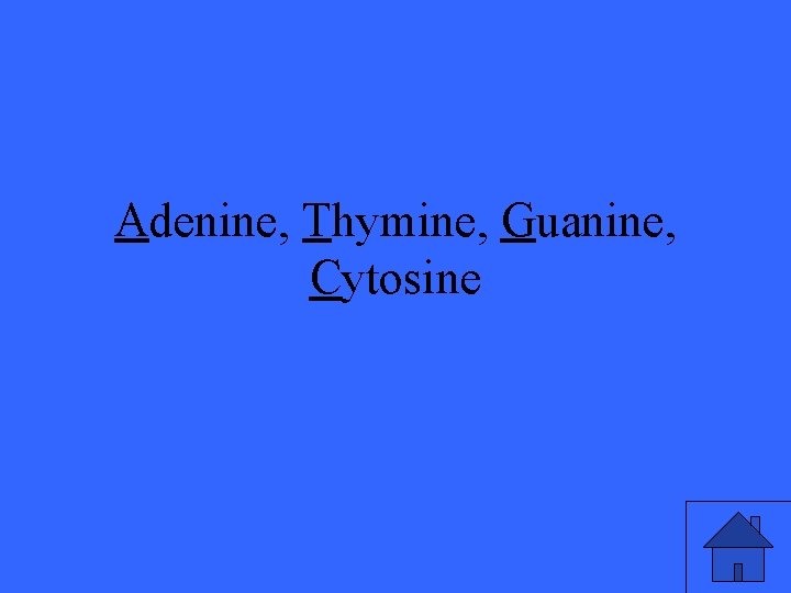 Adenine, Thymine, Guanine, Cytosine 