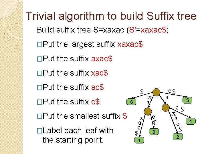 Trivial algorithm to build Suffix tree Build suffix tree S=xaxac (S’=xaxac$) �Put the largest