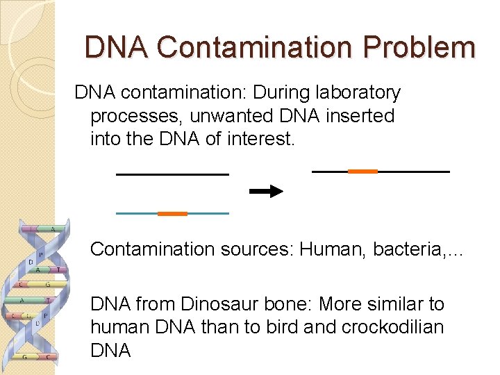 DNA Contamination Problem DNA contamination: During laboratory processes, unwanted DNA inserted into the DNA