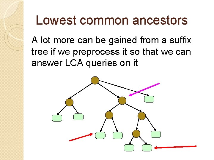 Lowest common ancestors A lot more can be gained from a suffix tree if