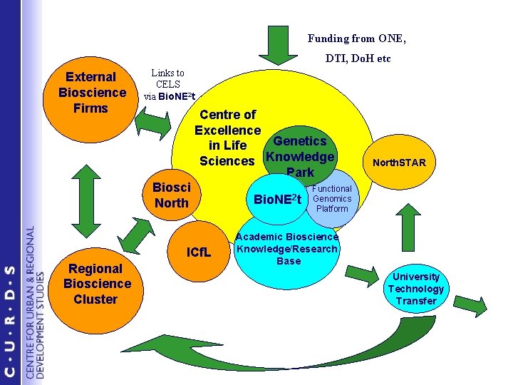 Funding from ONE, DTI, Do. H etc External Bioscience Firms Links to CELS via