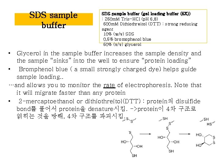 SDS sample buffer (gel loading buffer (5 X)) : 250 m. M Tris-HCl (p. SDS sample buffer (gel loading buffer (5 X)) : 250 m. M Tris-HCl (p.