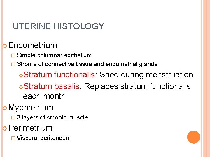 UTERINE HISTOLOGY Endometrium � Simple columnar epithelium � Stroma of connective tissue and endometrial
