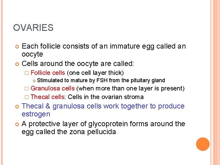 OVARIES Each follicle consists of an immature egg called an oocyte Cells around the