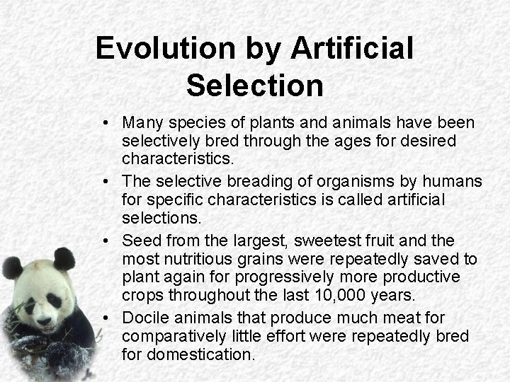 Evolution by Artificial Selection • Many species of plants and animals have been selectively