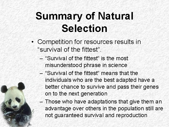 Summary of Natural Selection • Competition for resources results in “survival of the fittest”.
