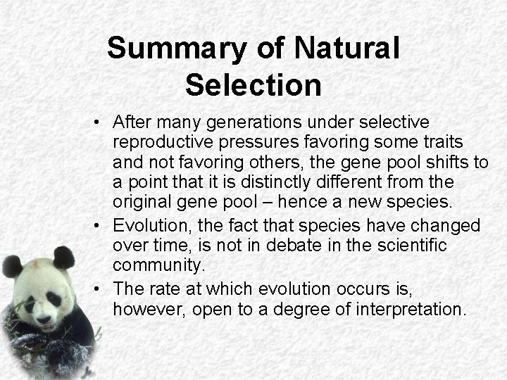Summary of Natural Selection • After many generations under selective reproductive pressures favoring some