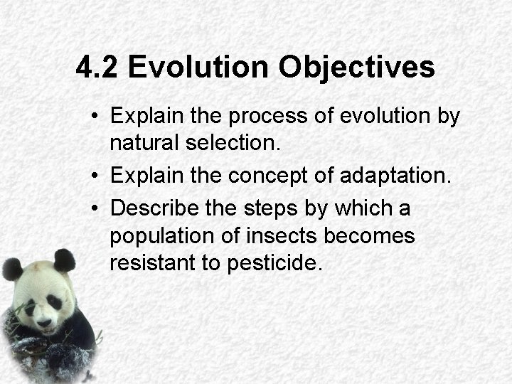 4. 2 Evolution Objectives • Explain the process of evolution by natural selection. •