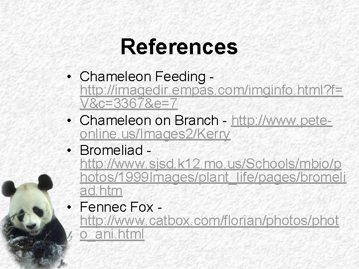 References • Chameleon Feeding http: //imagedir. empas. com/imginfo. html? f= V&c=3367&e=7 • Chameleon on