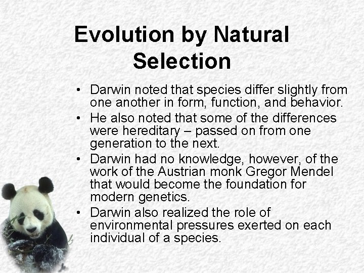 Evolution by Natural Selection • Darwin noted that species differ slightly from one another