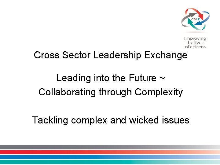 Cross Sector Leadership Exchange Leading into the Future