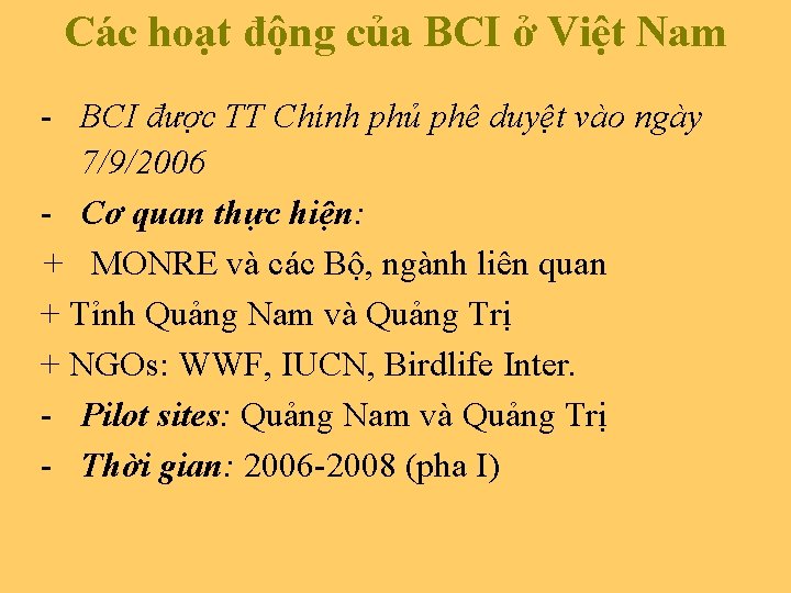 Các hoạt động của BCI ở Việt Nam - BCI được TT Chính phủ