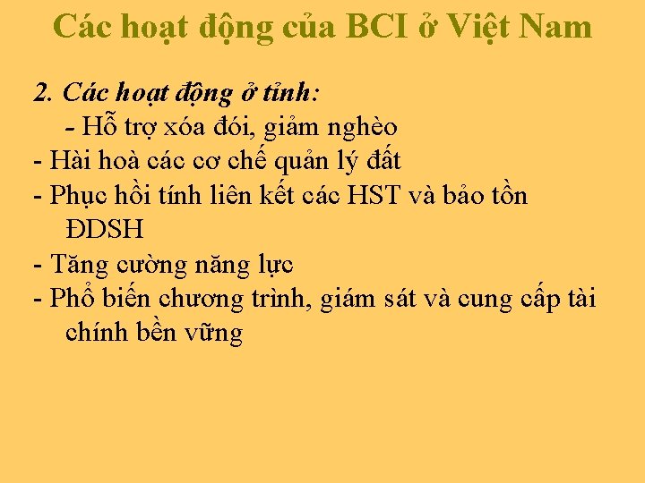 Các hoạt động của BCI ở Việt Nam 2. Các hoạt động ở tỉnh: