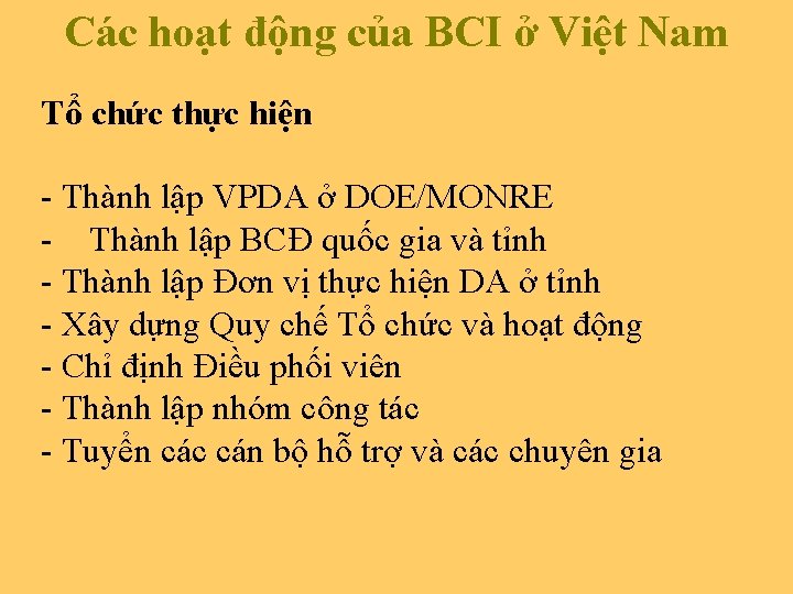 Các hoạt động của BCI ở Việt Nam Tổ chức thực hiện - Thành