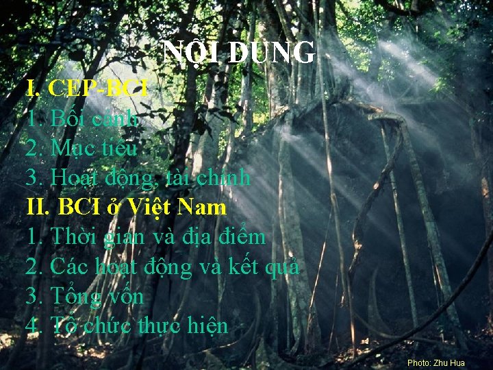 NỘI DUNG I. CEP-BCI 1. Bối cảnh 2. Mục tiêu 3. Hoạt động, tài