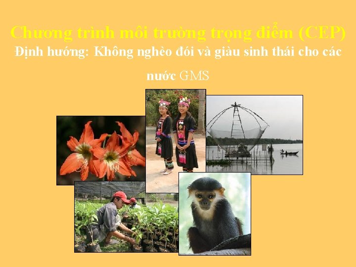 Chương trình môi trường trọng điểm (CEP) Định hướng: Không nghèo đói và giàu