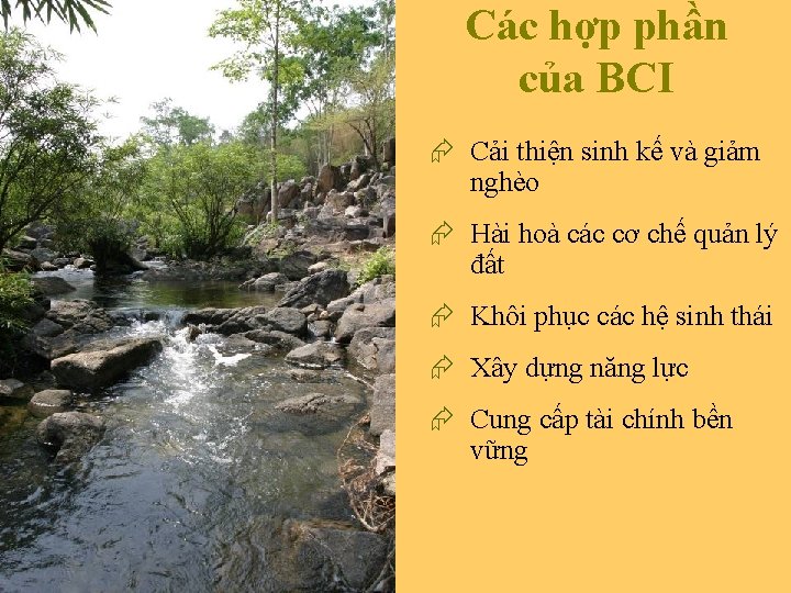 Các hợp phần của BCI Æ Cải thiện sinh kế và giảm nghèo Æ