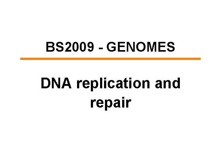 BS 2009 - GENOMES DNA replication and repair 
